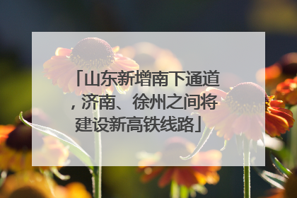 山东新增南下通道，济南、徐州之间将建设新高铁线路