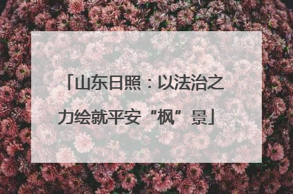 山东日照：以法治之力绘就平安“枫”景