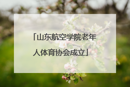 山东航空学院老年人体育协会成立