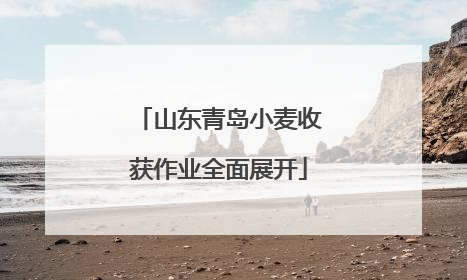 山东青岛小麦收获作业全面展开