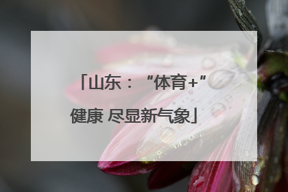 山东：“体育+”健康 尽显新气象