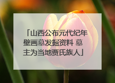山西公布元代纪年壁画墓发掘资料 墓主为当地贾氏族人