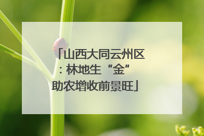 山西大同云州区：林地生“金” 助农增收前景旺