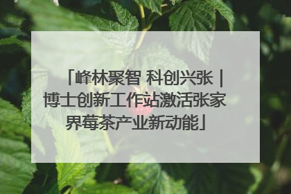 峰林聚智 科创兴张｜博士创新工作站激活张家界莓茶产业新动能