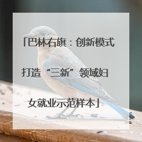 巴林右旗：创新模式 打造“三新”领域妇女就业示范样本