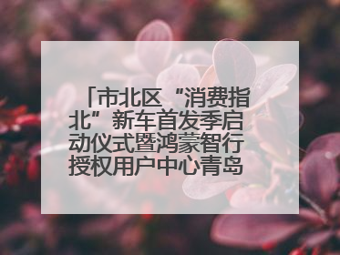 市北区“消费指北”新车首发季启动仪式暨鸿蒙智行授权用户中心青岛重庆南路开业盛典成功举办