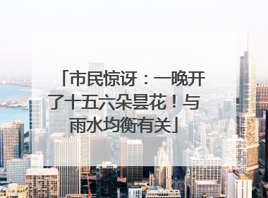 市民惊讶：一晚开了十五六朵昙花！与雨水均衡有关