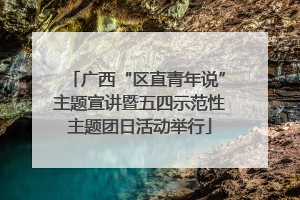 广西“区直青年说”主题宣讲暨五四示范性主题团日活动举行
