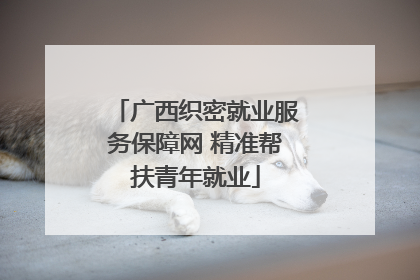 广西织密就业服务保障网 精准帮扶青年就业