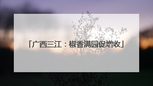 广西三江：椒香满园促增收