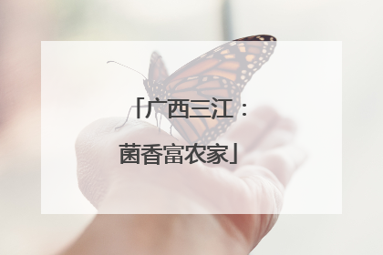 广西三江：菌香富农家
