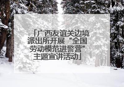 广西友谊关边境派出所开展“全国劳动模范进警营”主题宣讲活动
