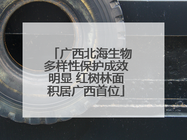 广西北海生物多样性保护成效明显 红树林面积居广西首位