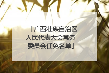 广西壮族自治区人民代表大会常务委员会任免名单