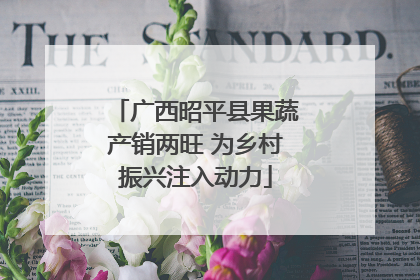 广西昭平县果蔬产销两旺 为乡村振兴注入动力