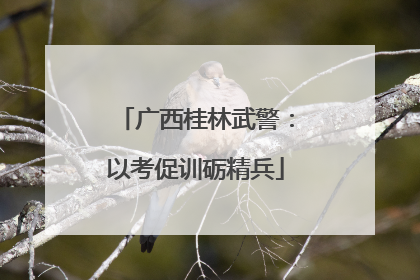 广西桂林武警：以考促训砺精兵