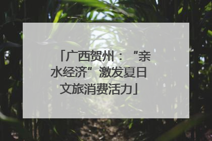 广西贺州：“亲水经济”激发夏日文旅消费活力