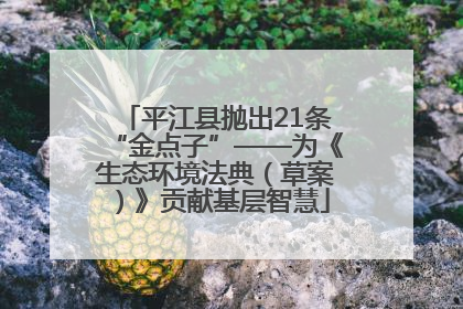平江县抛出21条“金点子”——为《生态环境法典（草案）》贡献基层智慧