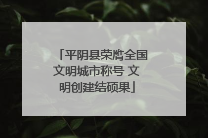 平阴县荣膺全国文明城市称号 文明创建结硕果