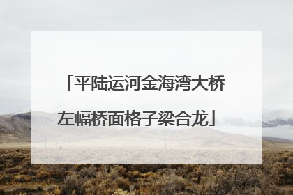 平陆运河金海湾大桥左幅桥面格子梁合龙
