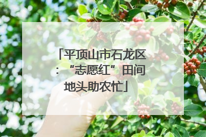 平顶山市石龙区：“志愿红”田间地头助农忙