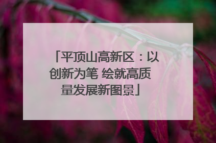 平顶山高新区：以创新为笔 绘就高质量发展新图景
