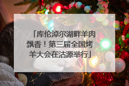 库伦淖尔湖畔羊肉飘香！第三届全国烤羊大会在沽源举行