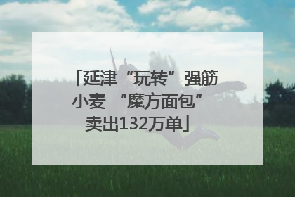 延津“玩转”强筋小麦 “魔方面包”卖出132万单