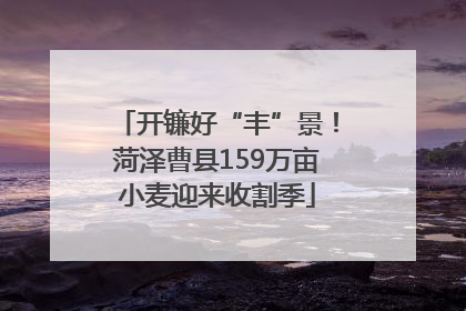 开镰好“丰”景！菏泽曹县159万亩小麦迎来收割季