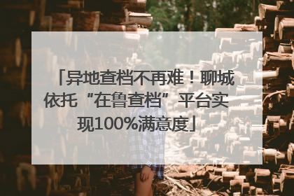 异地查档不再难！聊城依托“在鲁查档”平台实现100%满意度