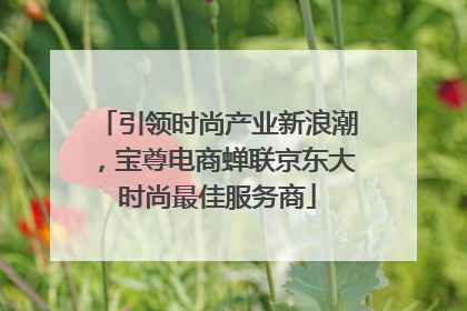引领时尚产业新浪潮，宝尊电商蝉联京东大时尚最佳服务商
