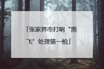 张家界市打响“黑飞”处理第一枪