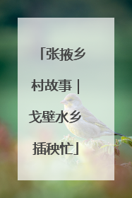 张掖乡村故事｜戈壁水乡插秧忙