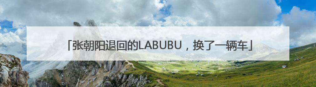 张朝阳退回的LABUBU，换了一辆车