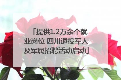 提供1.2万余个就业岗位 四川退役军人及军属招聘活动启动