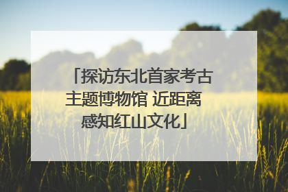 探访东北首家考古主题博物馆 近距离感知红山文化