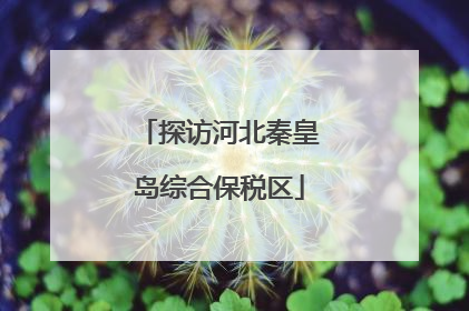 探访河北秦皇岛综合保税区