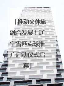 推动文体旅融合发展！辽宁省匹克球推广启动仪式启幕