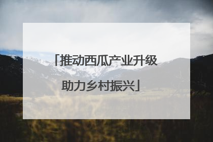 推动西瓜产业升级 助力乡村振兴