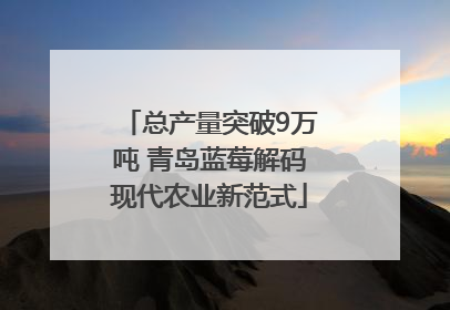 总产量突破9万吨 青岛蓝莓解码现代农业新范式