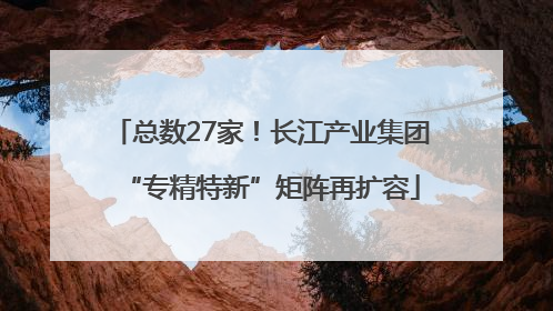 总数27家！长江产业集团“专精特新”矩阵再扩容