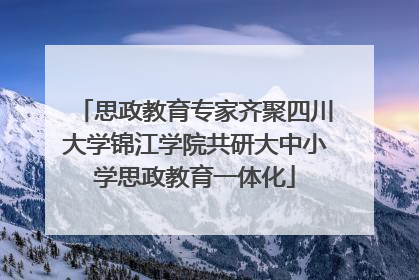 思政教育专家齐聚四川大学锦江学院共研大中小学思政教育一体化