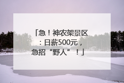 急！神农架景区：日薪500元，急招“野人”！