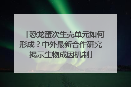 恐龙蛋次生壳单元如何形成？中外最新合作研究揭示生物成因机制