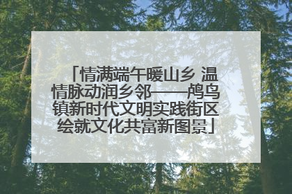 情满端午暖山乡 温情脉动润乡邻——鸬鸟镇新时代文明实践街区绘就文化共富新图景
