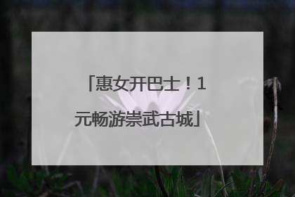 惠女开巴士！1元畅游崇武古城