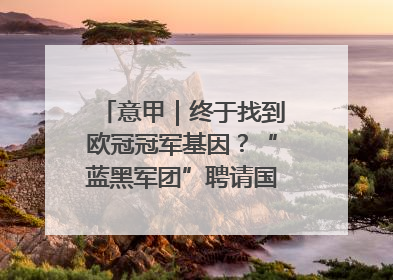 意甲｜终于找到欧冠冠军基因？“蓝黑军团”聘请国米名宿齐沃执教