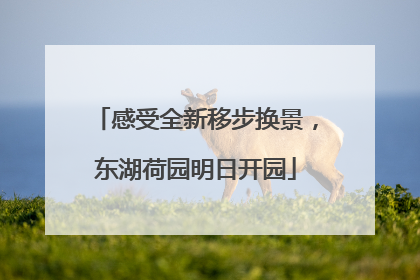 感受全新移步换景，东湖荷园明日开园
