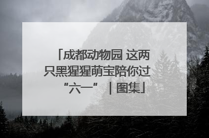 成都动物园 这两只黑猩猩萌宝陪你过“六一”｜图集