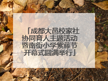 成都大邑校家社协同育人主题活动暨南街小学紫藤节开幕式圆满举行